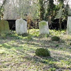 PERRENS Ann - located in centre foreground of photograph